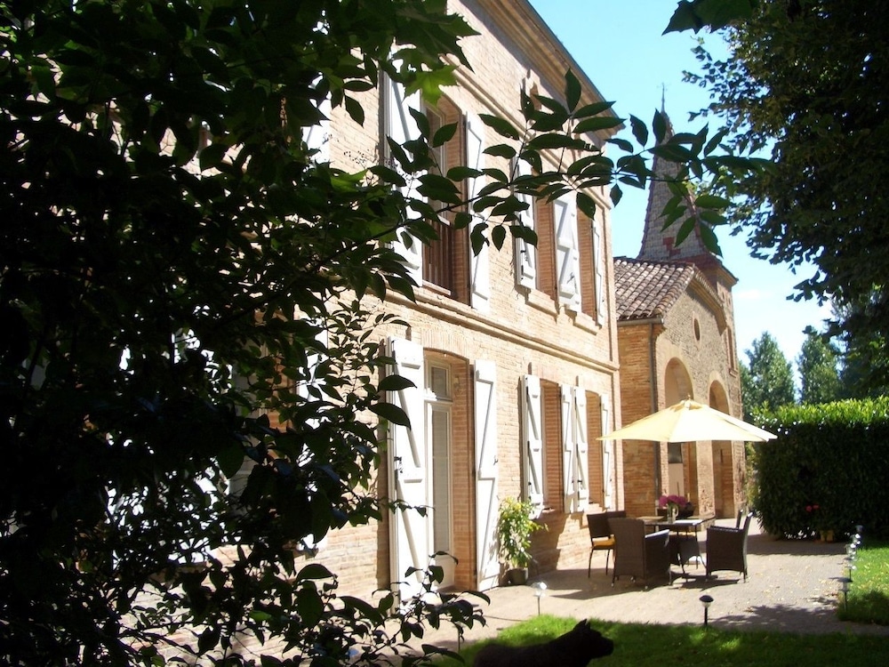 Le Platane