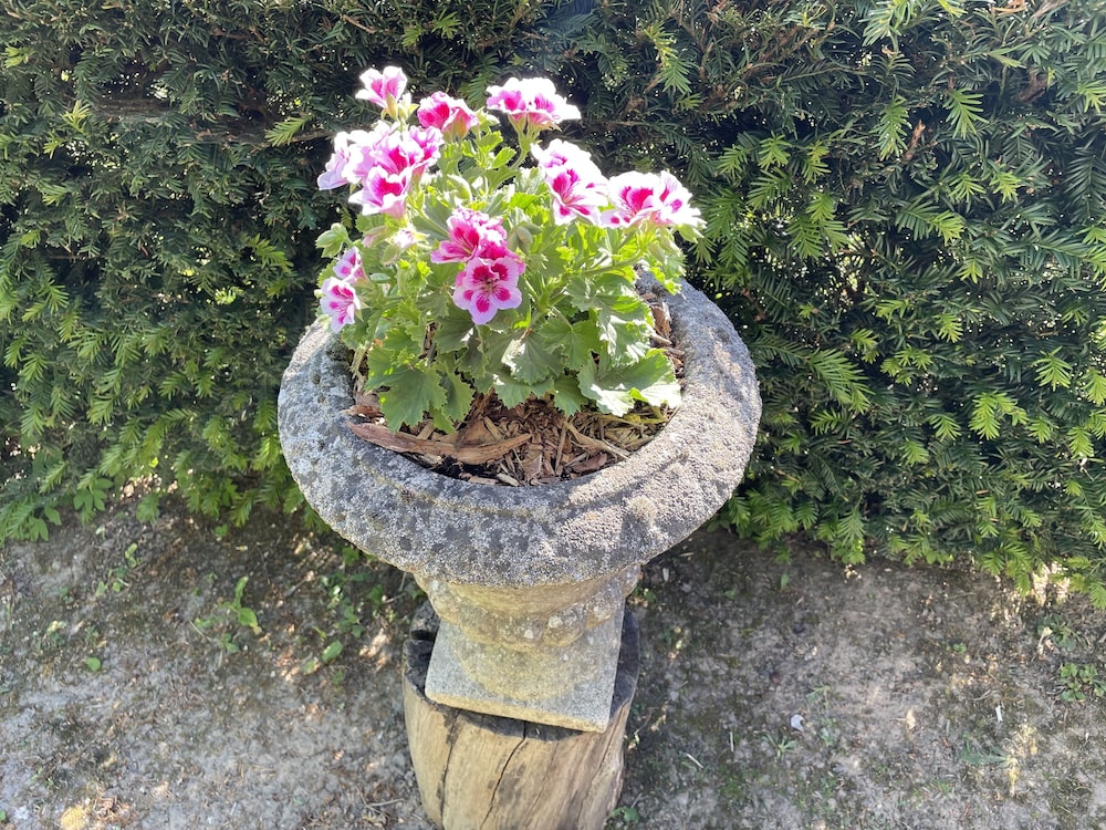 Photo 21