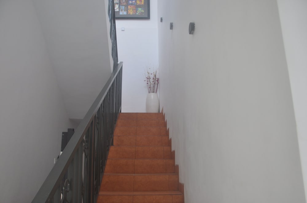 Photo 56