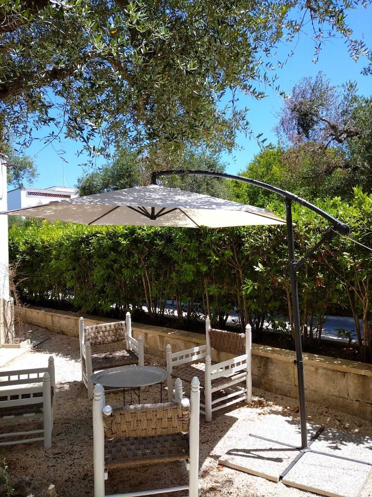 Tenuta Belvedere