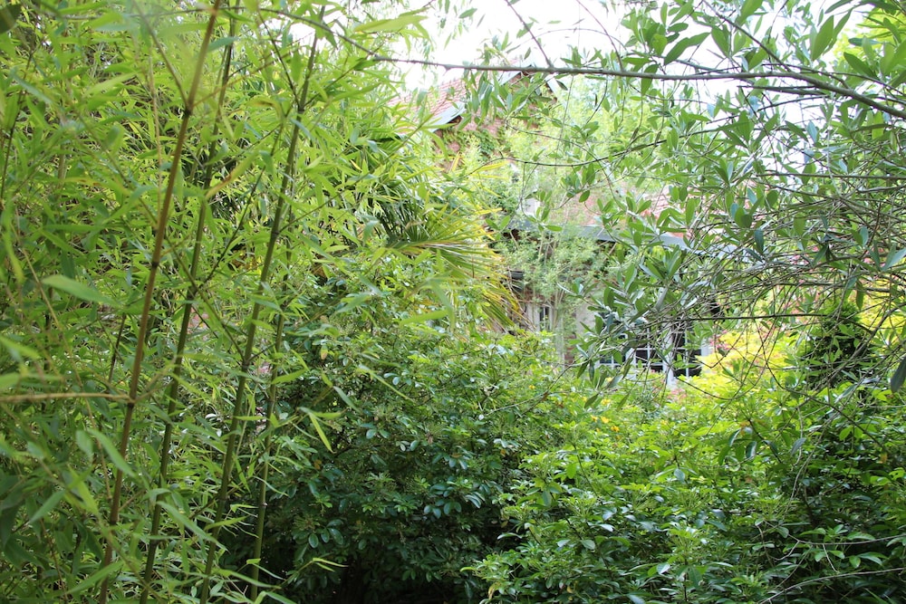 Photo 42