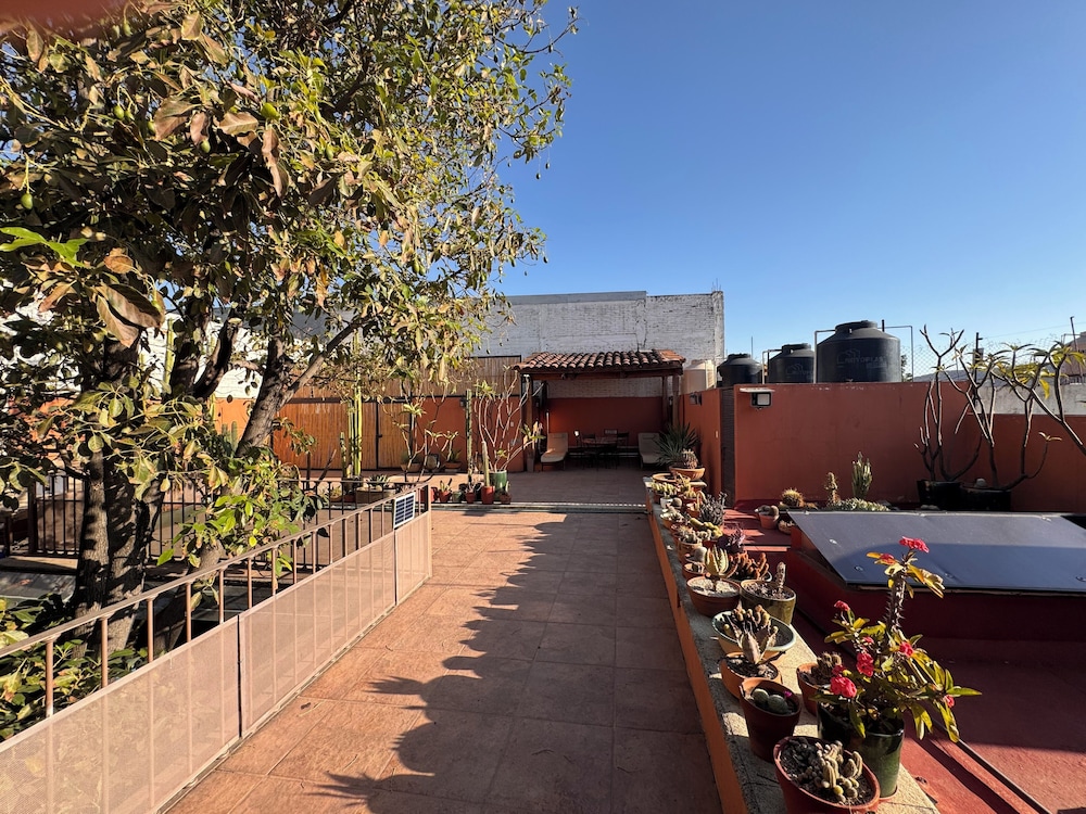 La Casa del Arbol