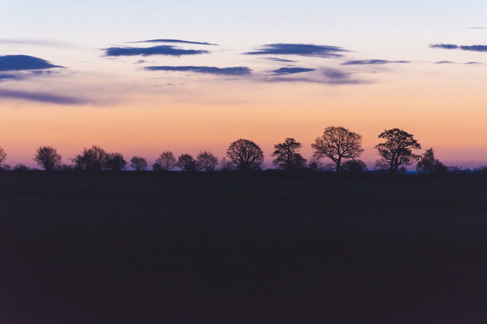 The Haughmond