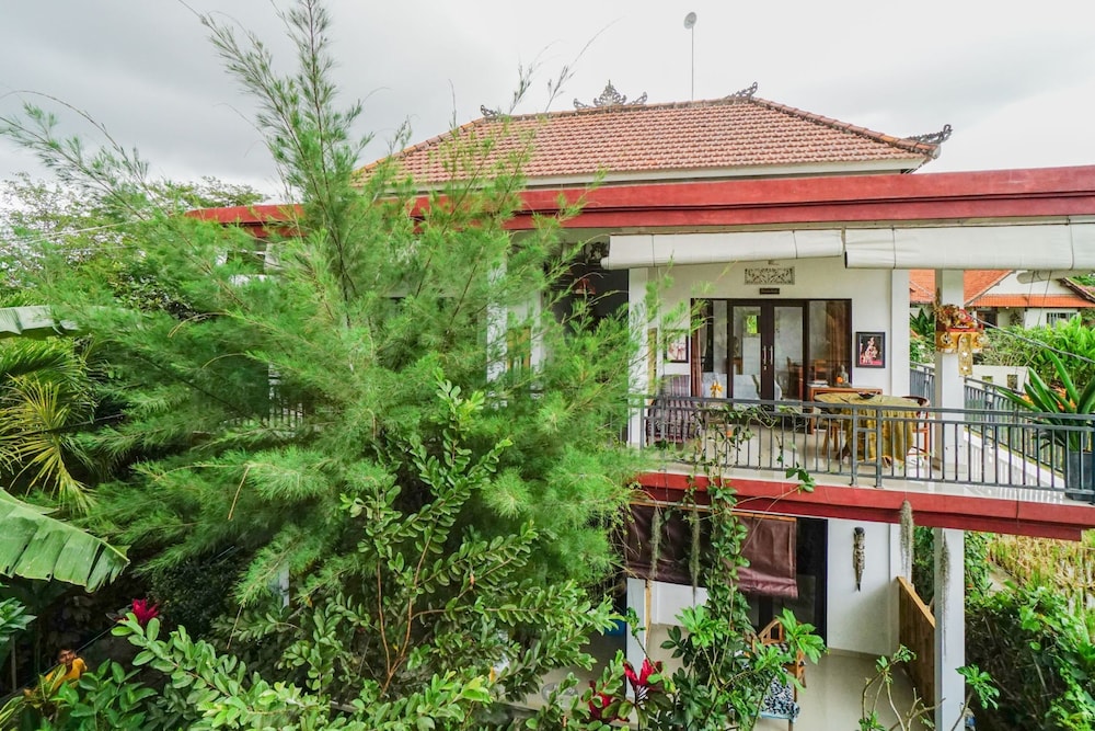 Molecha Guest House view 4