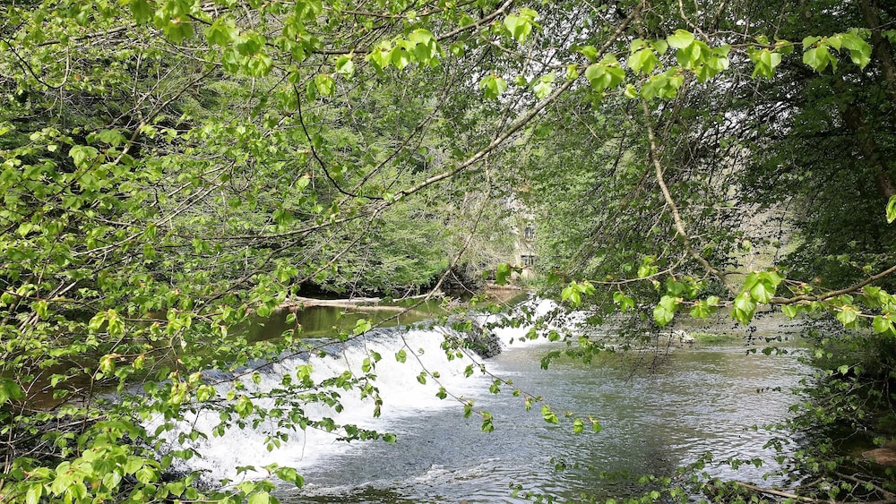 Photo 32