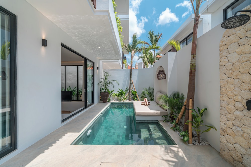 Nova Oasis 1