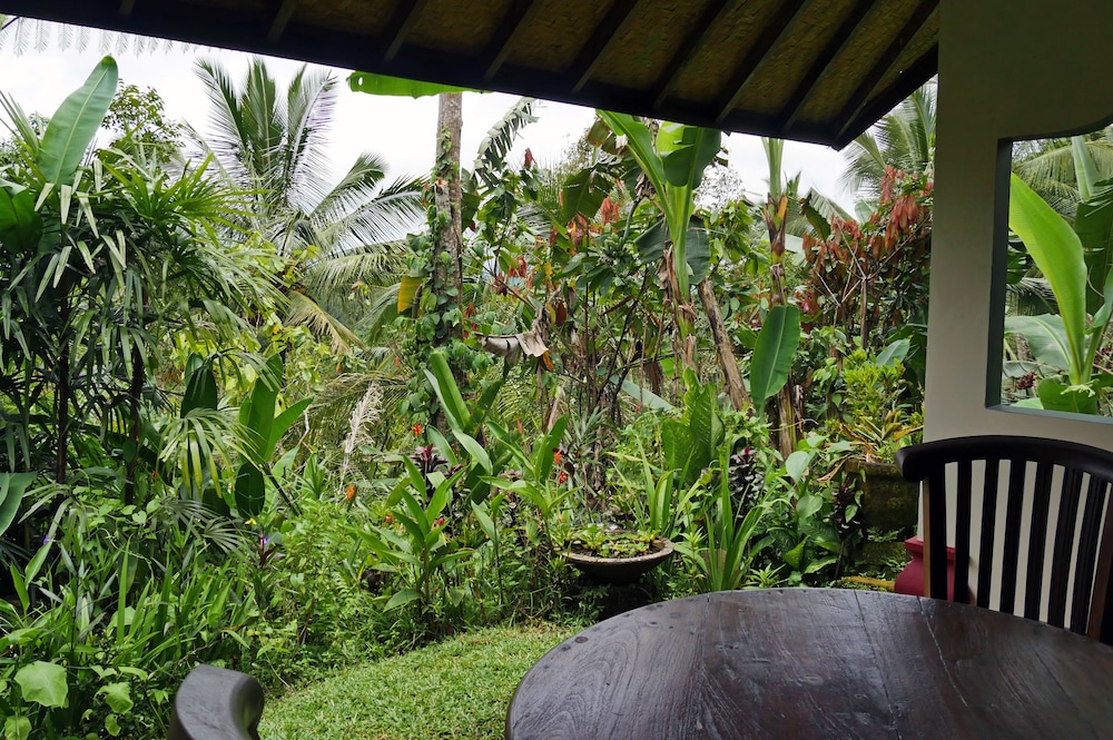 Bali Mountain Retreat