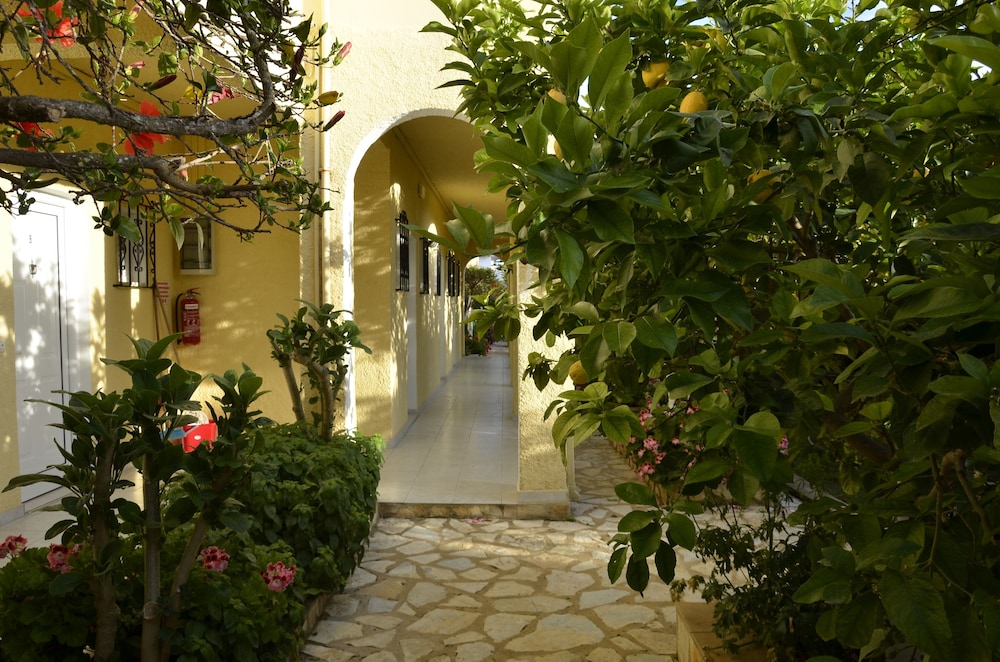 Photo 17