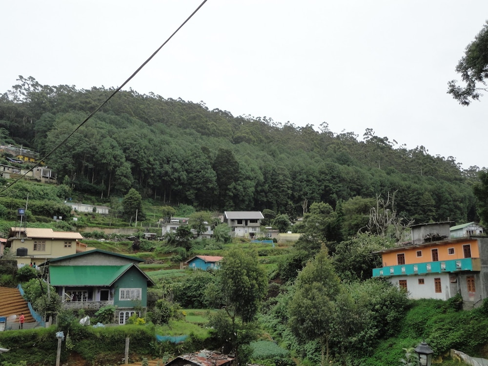 Comfort inn & Hostel