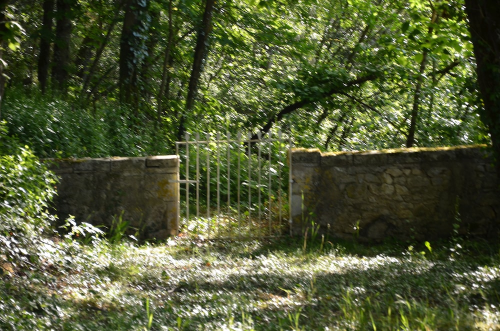 Villa du Cerf Thibault, Billede 83
