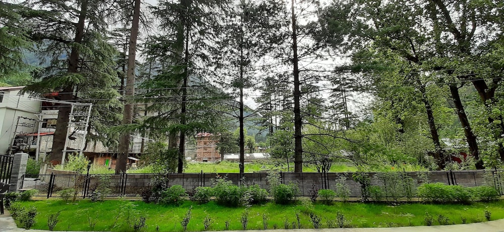 Photo 7