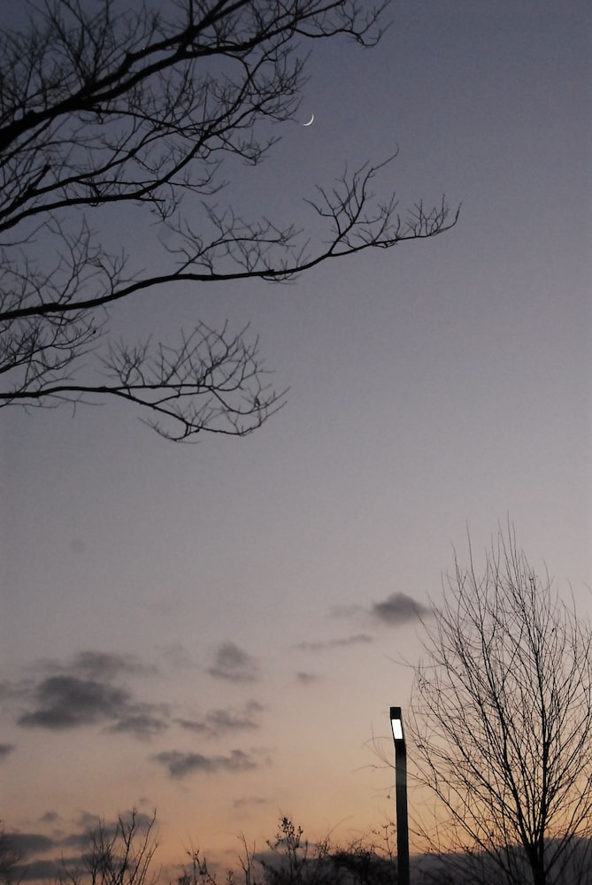 Motif No.1 Guest House