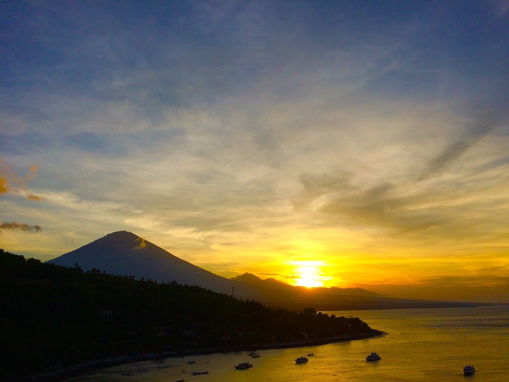 Amed Romance