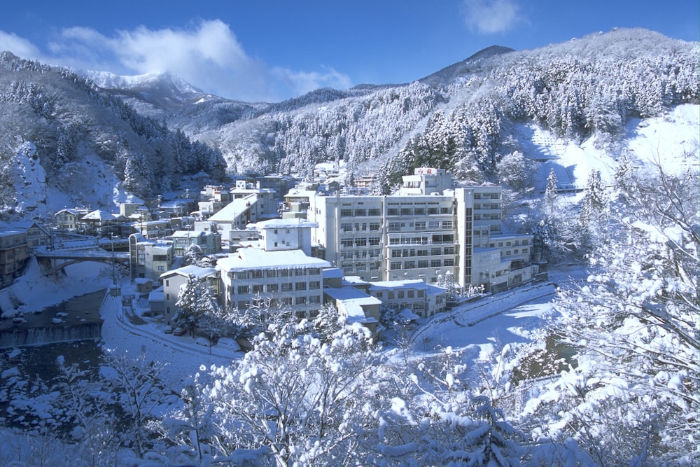 Tsuchiyu Onsen MUKAITAKI