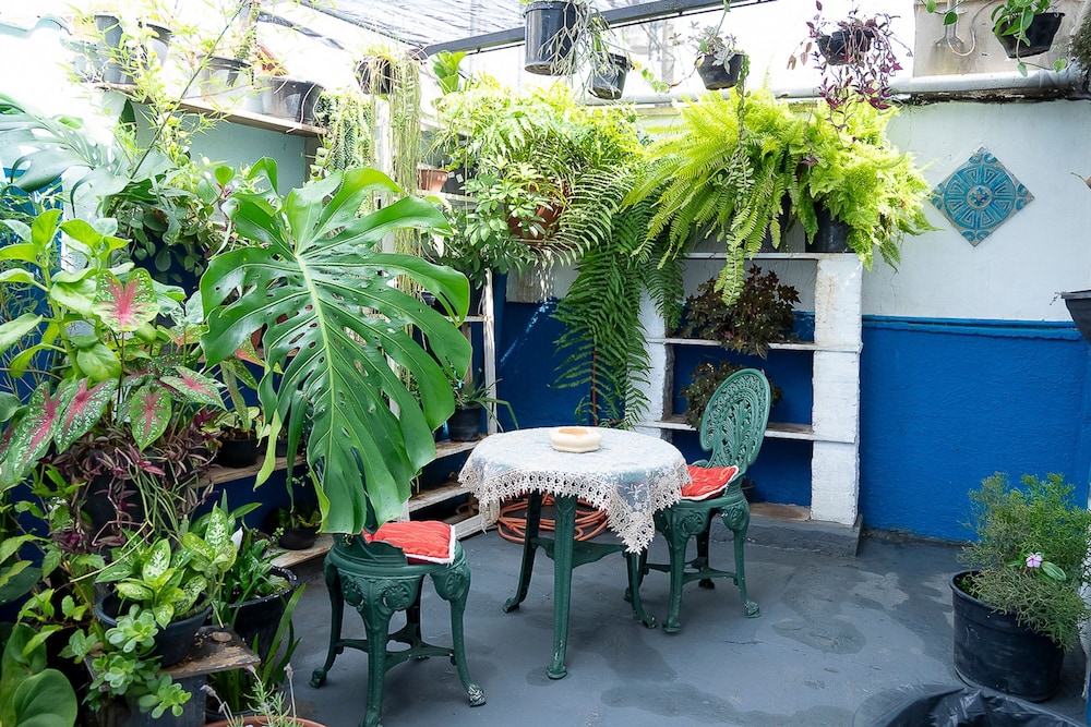 Casa Pet Friendly c 3 Quartos e Garagem no Jardim
