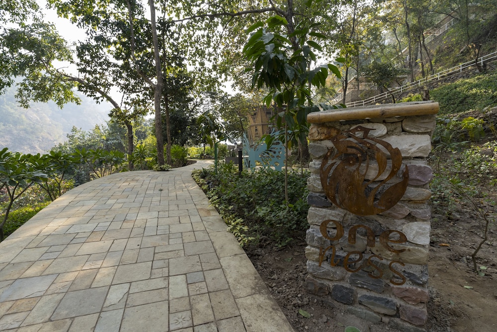 Photo 54