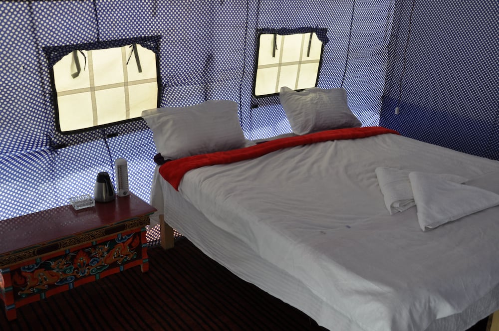 The Ladakh Camp