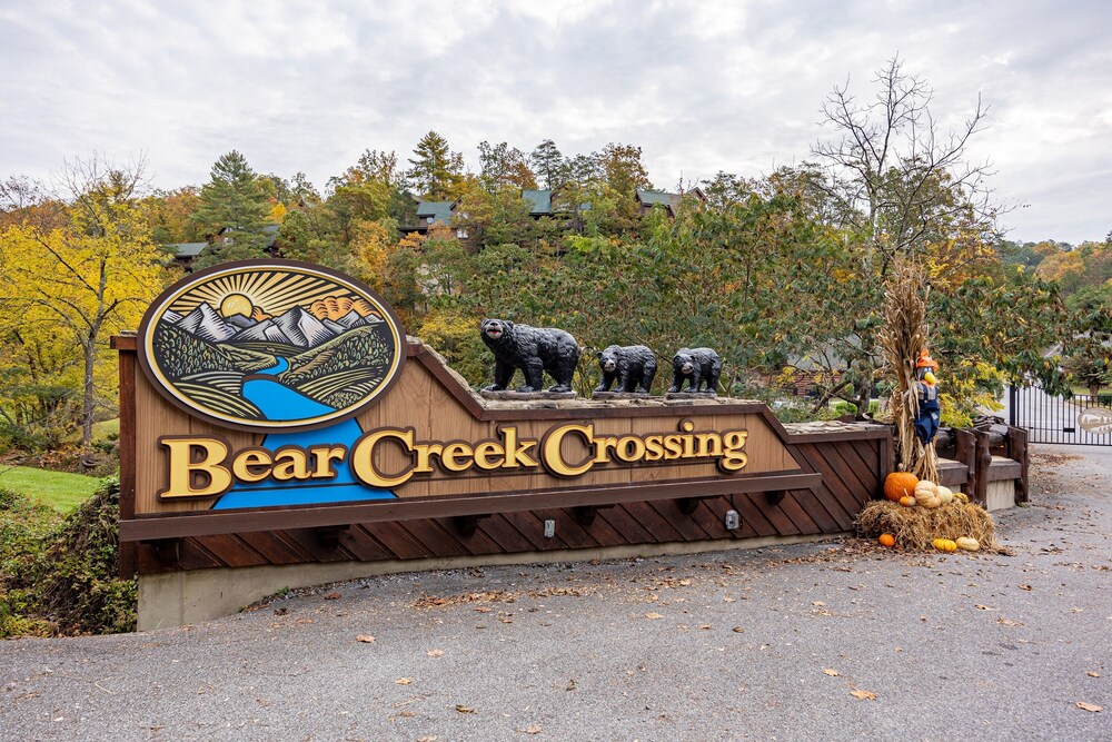 Chilling Bear Lodge