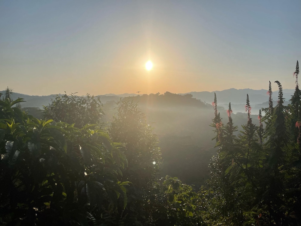 Bwindi Neckview Lodge