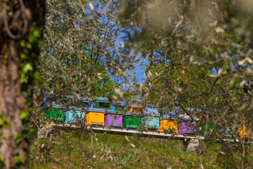 Agriturismo Borgo il Mezzanino
