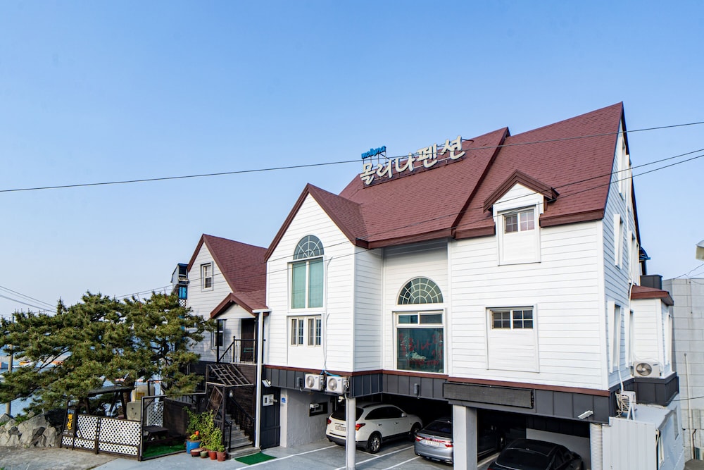 Molina Pension