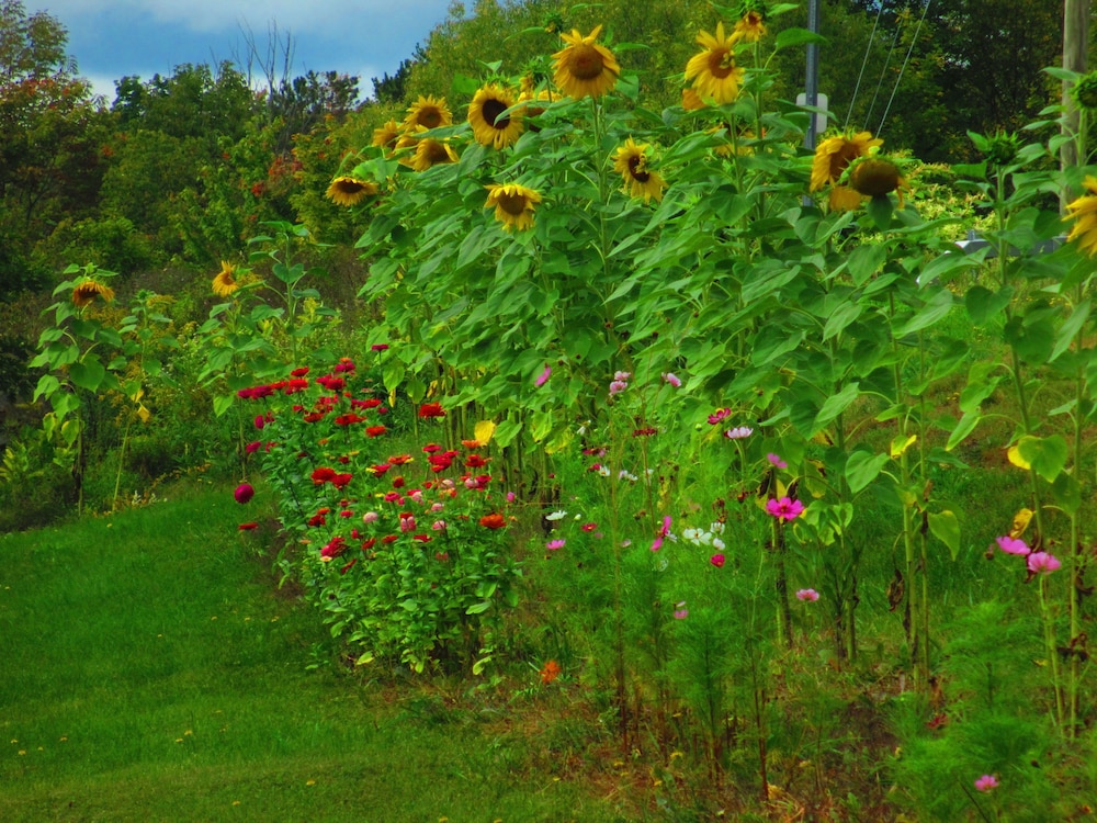 Georgian Garden Inn