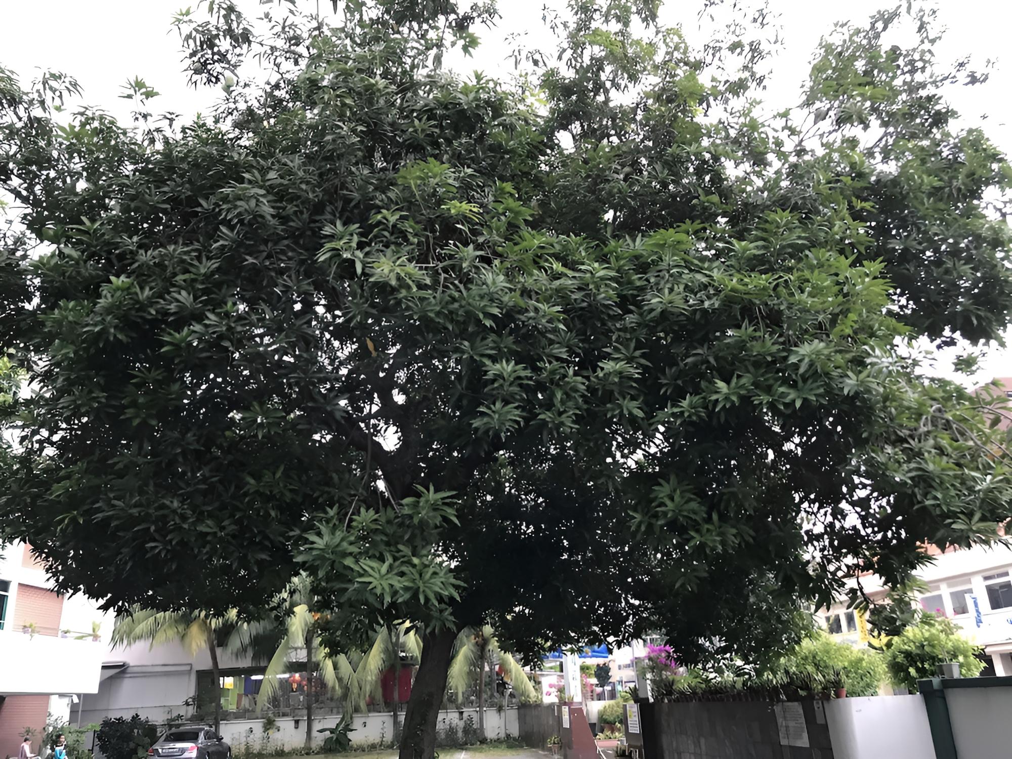 Lai Ming Hotel