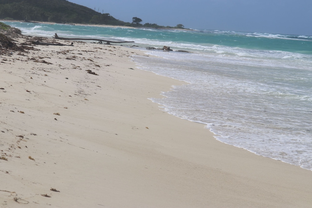 Beach Palm Villa, photo 48