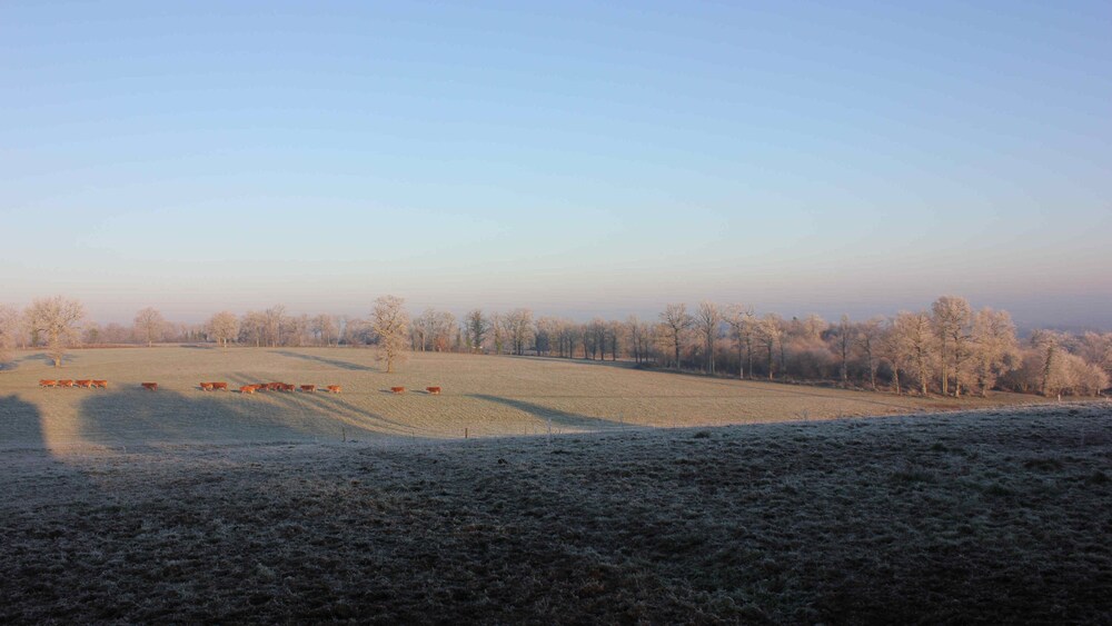 Domaine de Savignac view 4