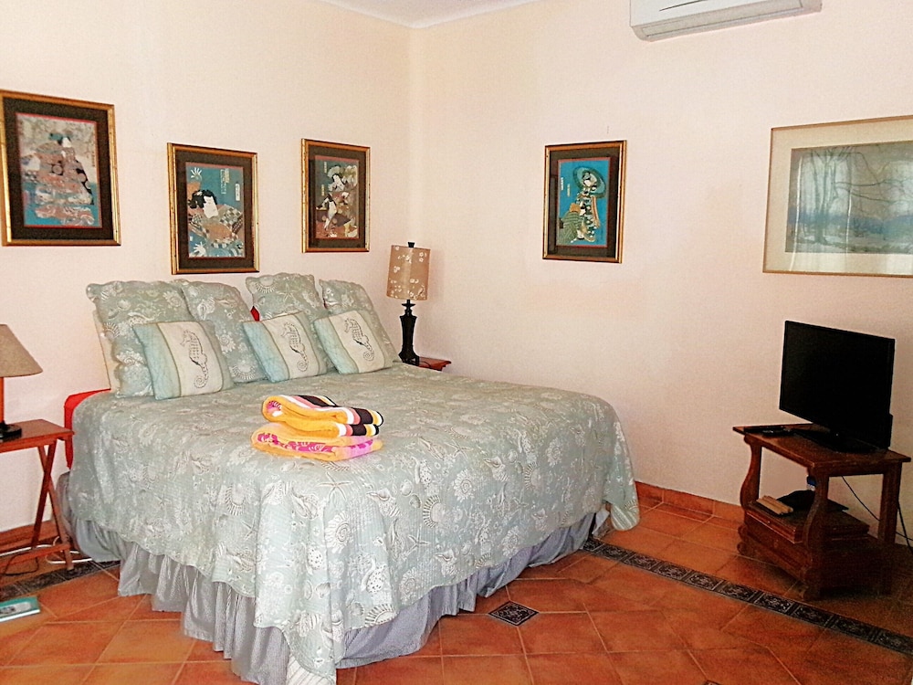 Casa Gatos