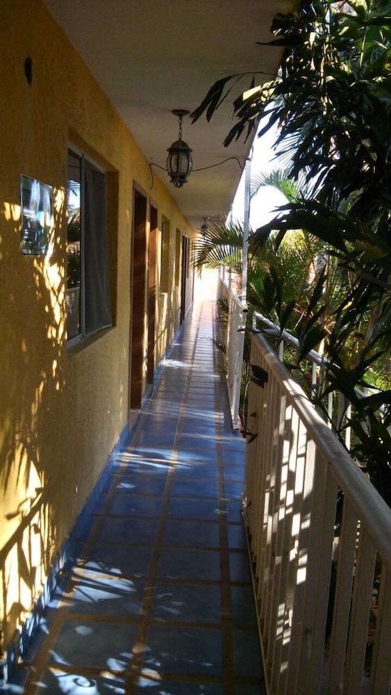 Photo 44