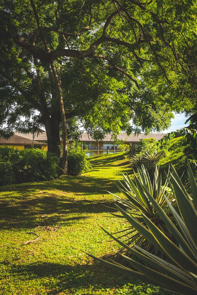 Mount Irvine Bay Resort