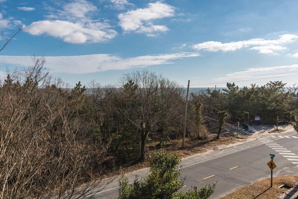 Surf Avenue 48