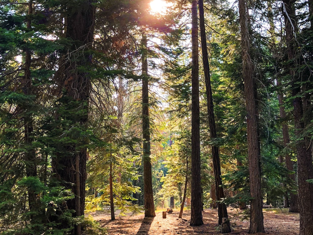 Tahoe Valley Campground