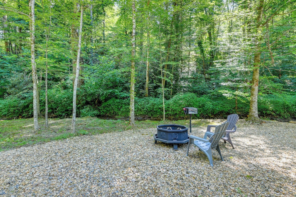 Cosby 'wilderness Cabin' Studio w/ Fire Pit