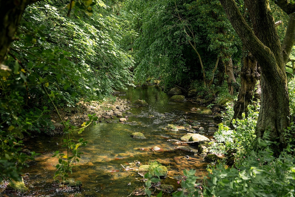 Darlington Vacations - Alwent Mill - Property Image 12