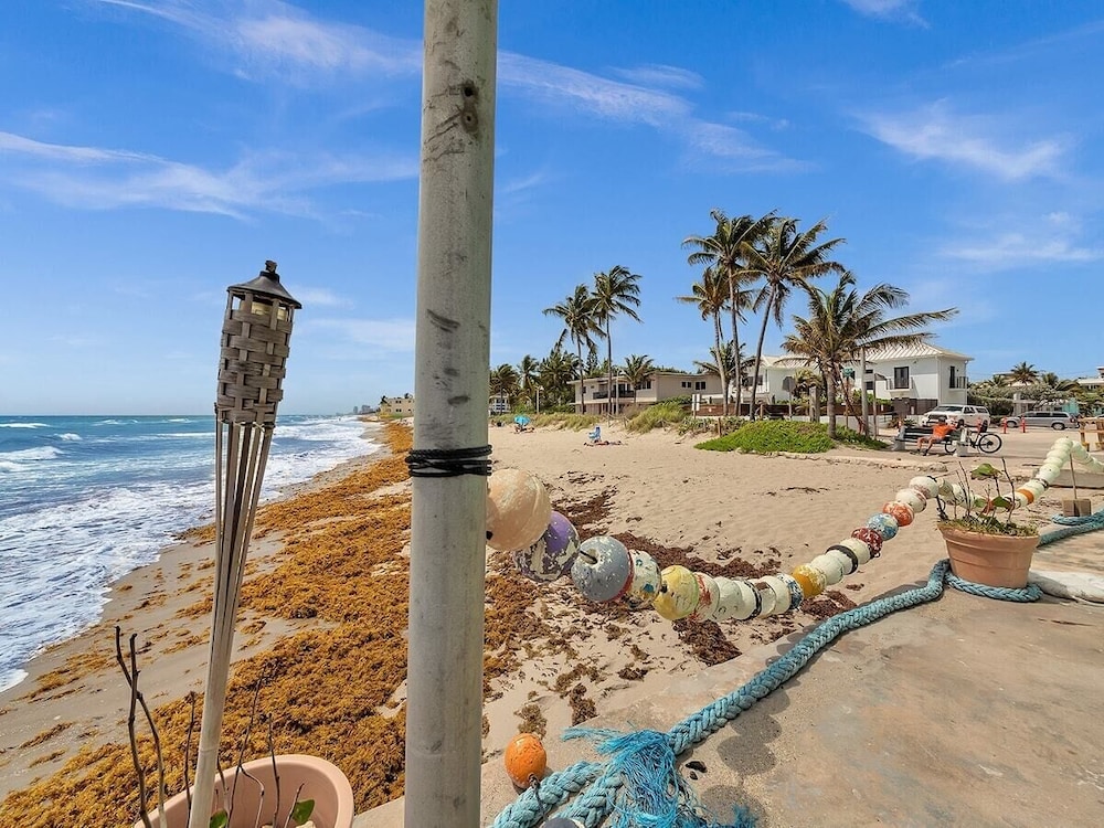 The Shell on Walnut Studio With Bath Hollywood Beach Free Parking