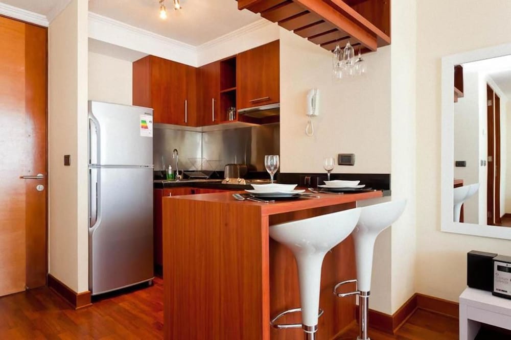 Apartamentos Premium Capital Providencia view 4