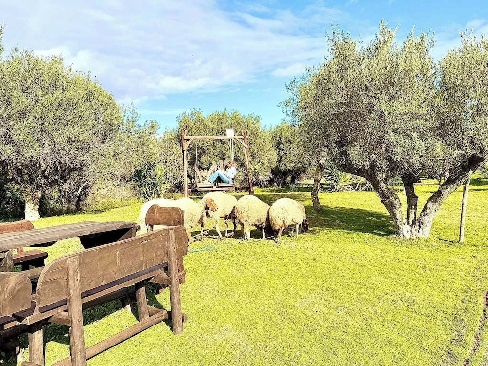 Chalet Essanya