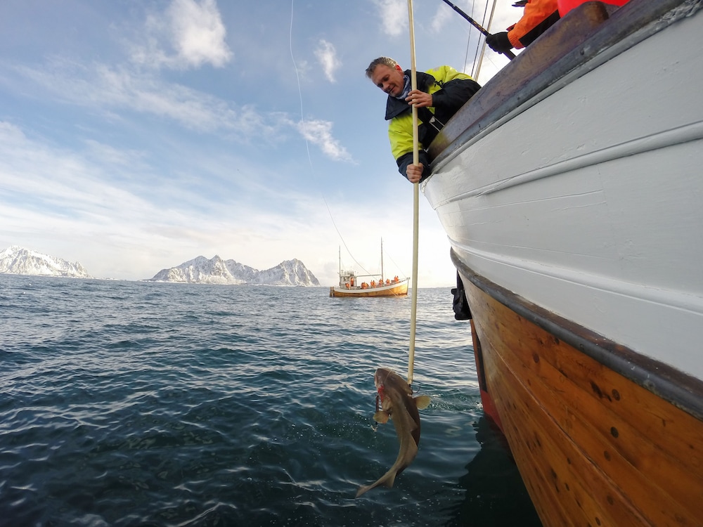 Rorbuene Svolvær Havn