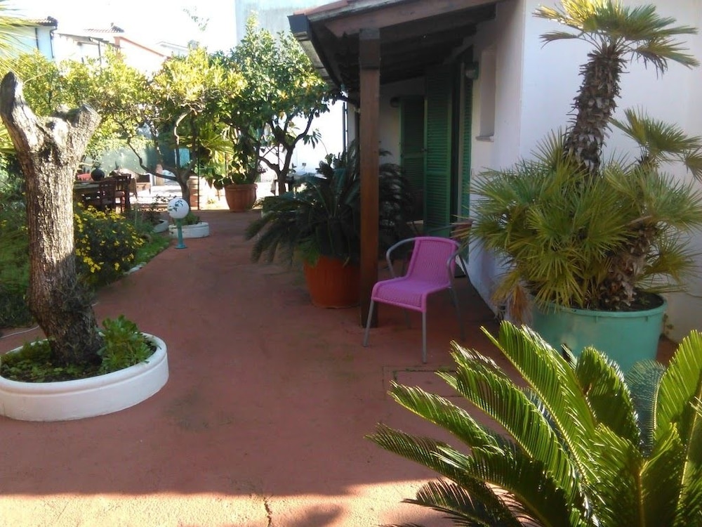Photo 14