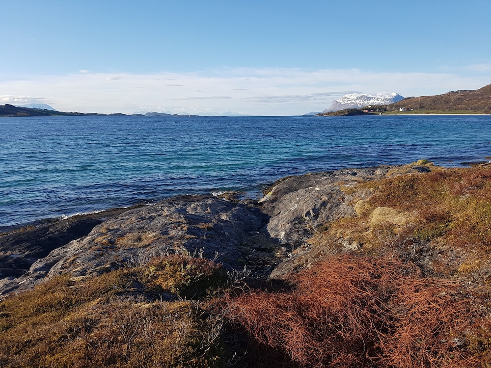 Tjeldsundbrua Camping