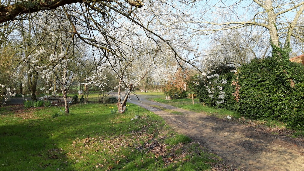 Photo 34