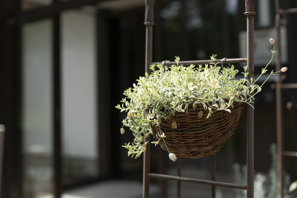 Yamanakako Ryokan RYOZAN