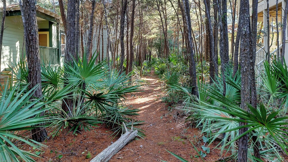 Photo 30