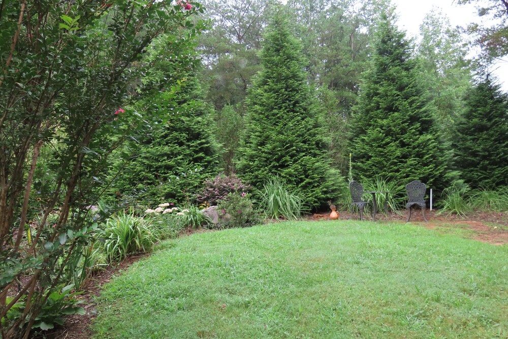 Photo 29