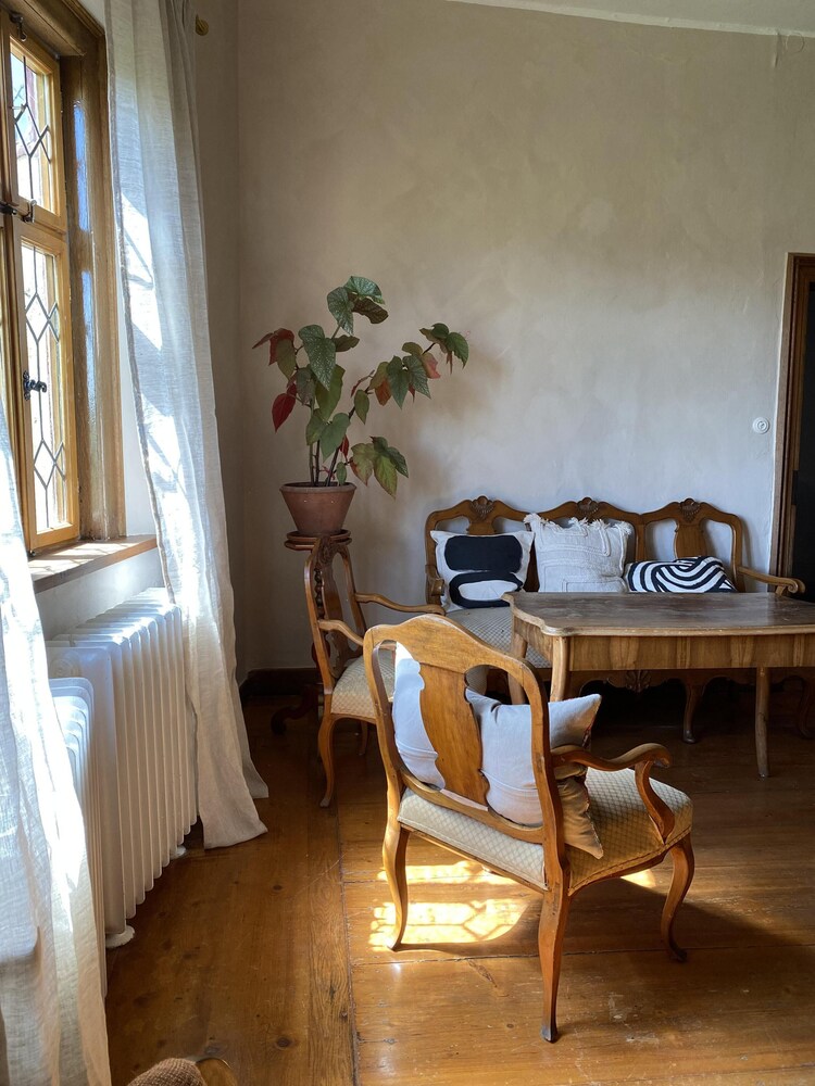 Photo 46