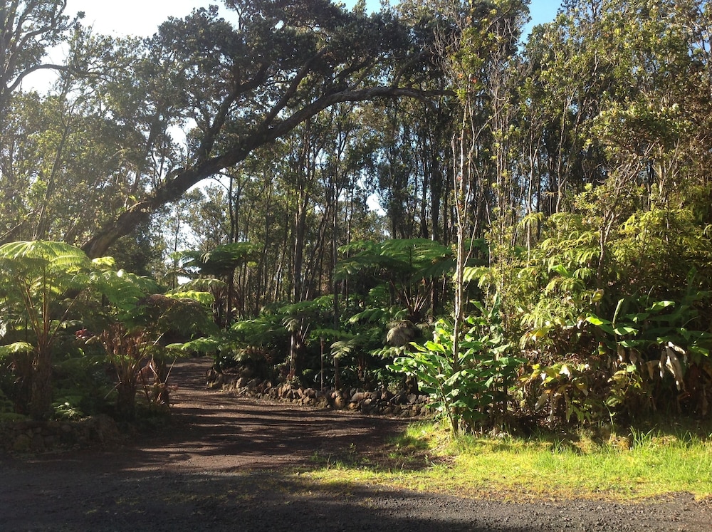 Volcano Rainforest Lodge
