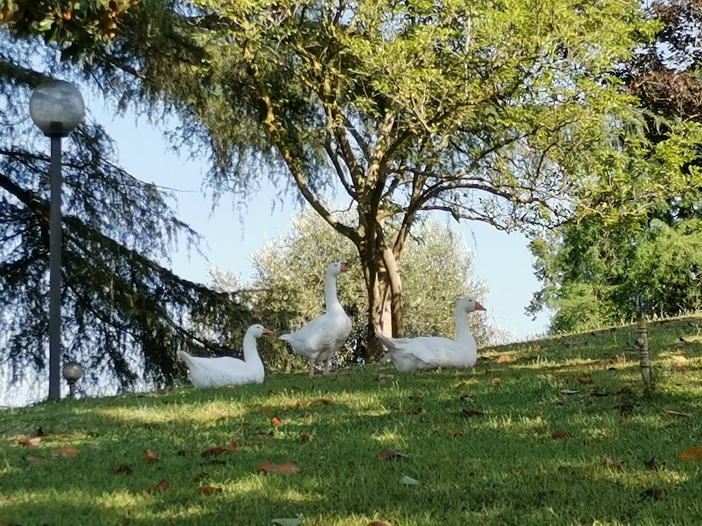 Ranocchio House, Perfect Retreat for a Relaxing Stay Just a few Steps From Rome