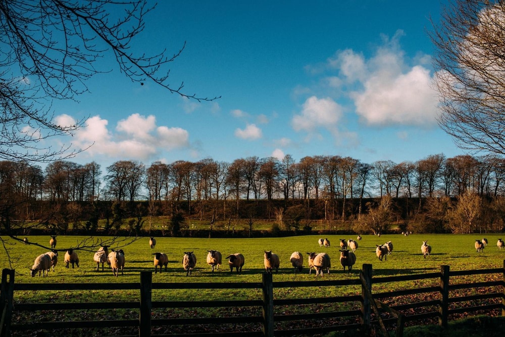 Mitton Hall Country House Hotel, photo 72